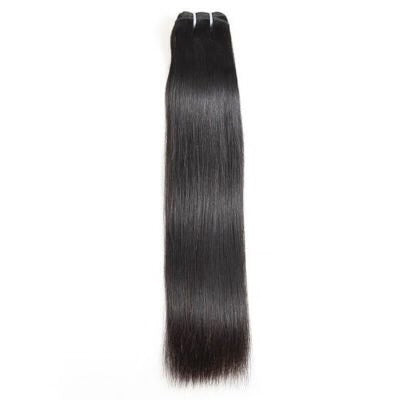 Birman Lisse