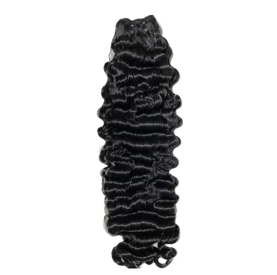 Birman Burmese curly