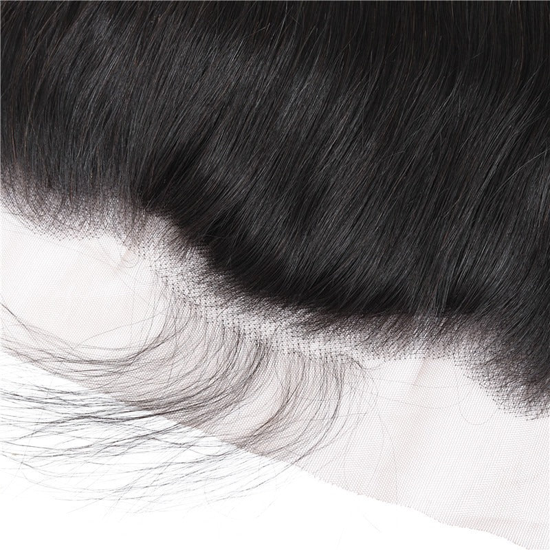 Birman Lace front Lisse